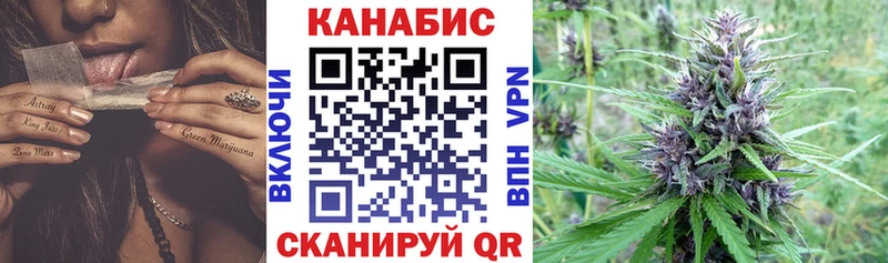 купить наркоту  Верея  Каннабис индика 